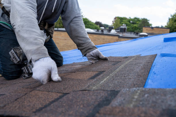 Best Residential Roofing Contractor  in Warsaw, NC