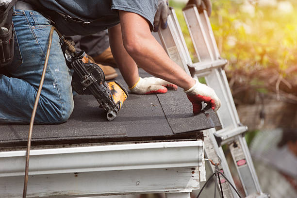 Best Metal Roofing Contractor  in Warsaw, NC