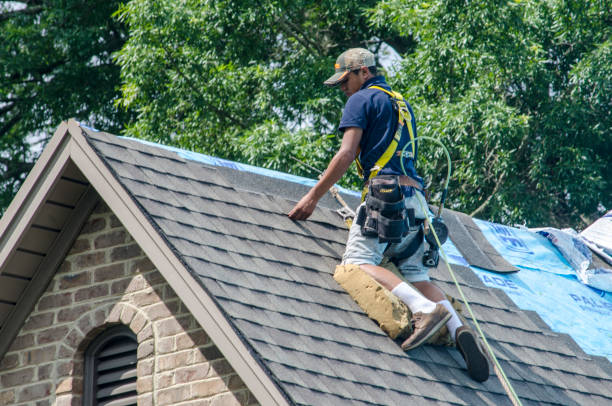 Best Best Roofing Contractors  in Warsaw, NC